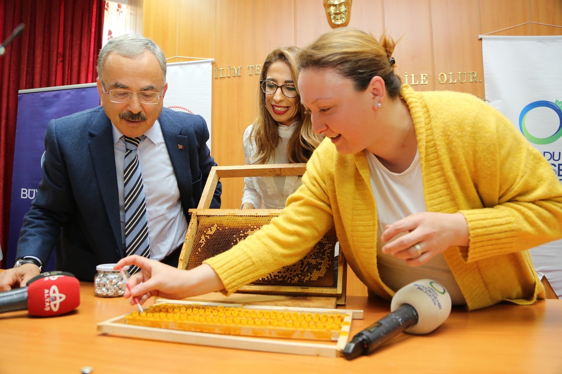 ARI SÜTÜNDEN 800 BİN LİRA